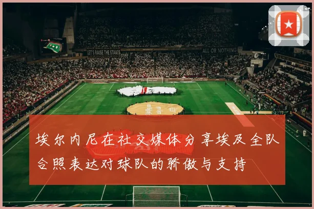 埃尔内尼在社交媒体分享埃及全队合照表达对球队的骄傲与支持