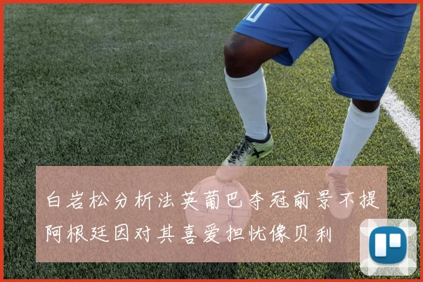 白岩松分析法英葡巴夺冠前景不提阿根廷因对其喜爱担忧像贝利